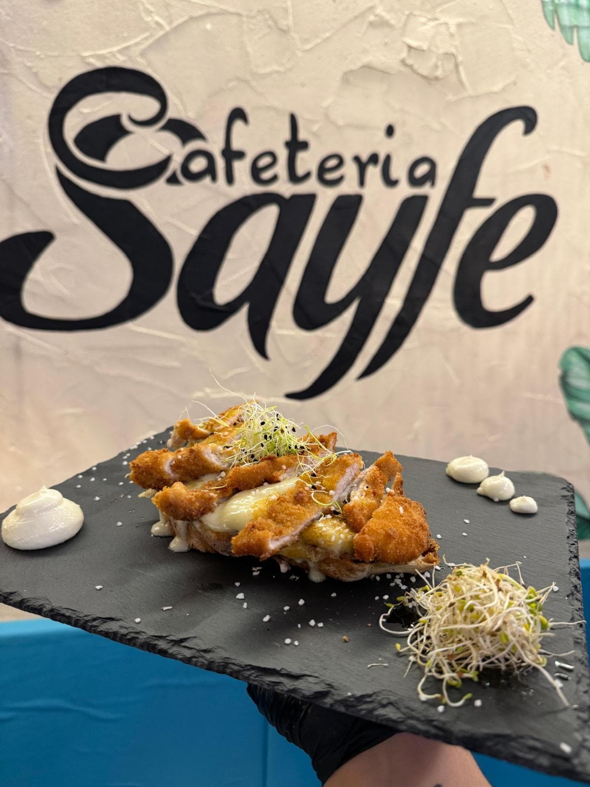 Platos de Sayfe 2.0